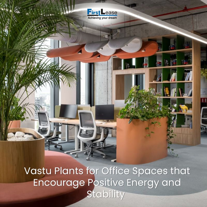 Vastu Plants for Office Spaces that Encourage Positive Energy and Stability 
